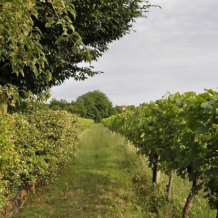 Вілла Casa Griunit Capriva del Friuli Екстер'єр фото