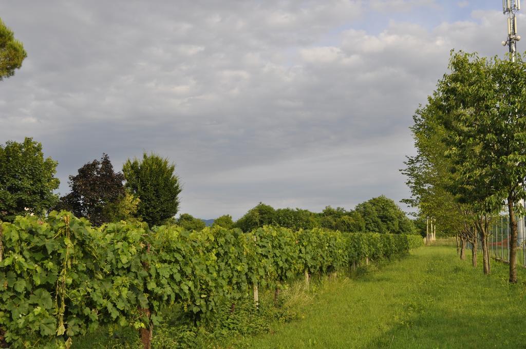 Вілла Casa Griunit Capriva del Friuli Екстер'єр фото