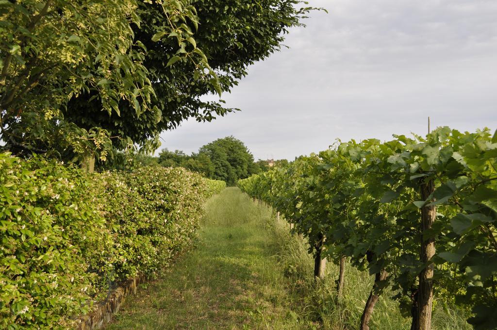 Вілла Casa Griunit Capriva del Friuli Екстер'єр фото